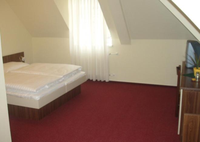Hotel Altenberg 스테어호리 객실 사진